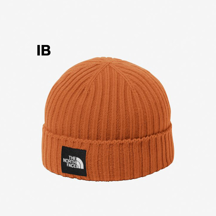 THE NORTH FACE キャップ チコリコーヒー THE NORTH FACE Valley Corduroy Cap チコリコーヒー （ザ・ノース