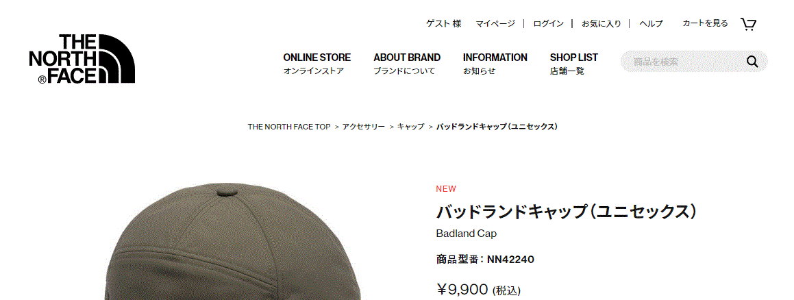 THE NORTH FACE ノースフェイス 帽子 防寒用 メンズ レディース
