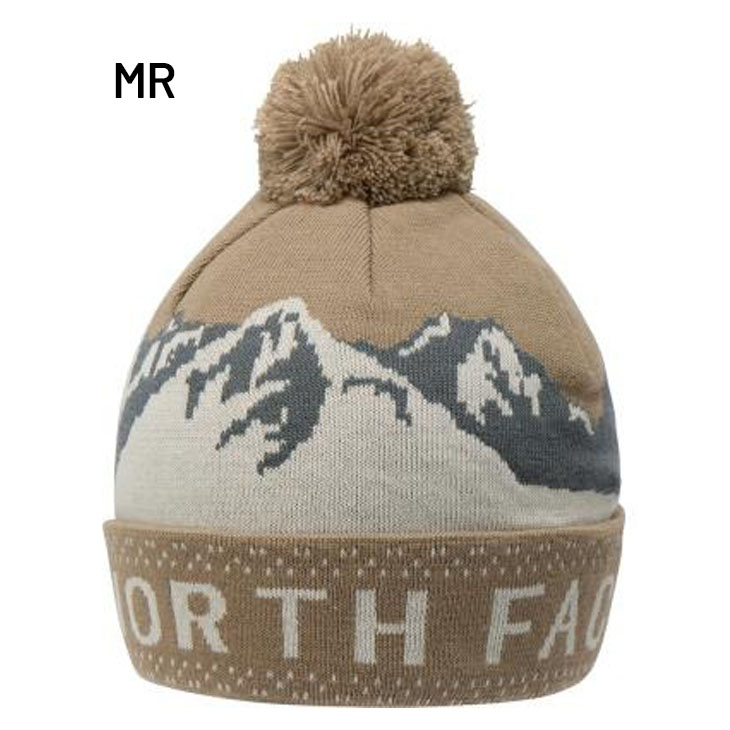 THE NORTH FACE（ザ ノースフェイス） ニット帽 メンズ レディース