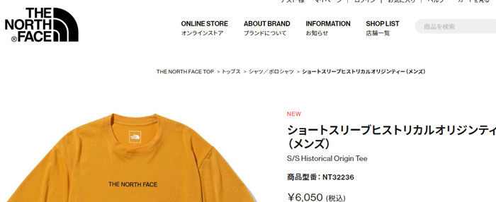 THE NORTH FACE 半袖 Tシャツ メンズ ザ・ノース・フェイス FACE