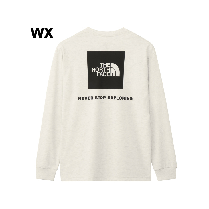 THE NORTH FACE ザ・ノース・フェイス 長袖 Tシャツ メンズ