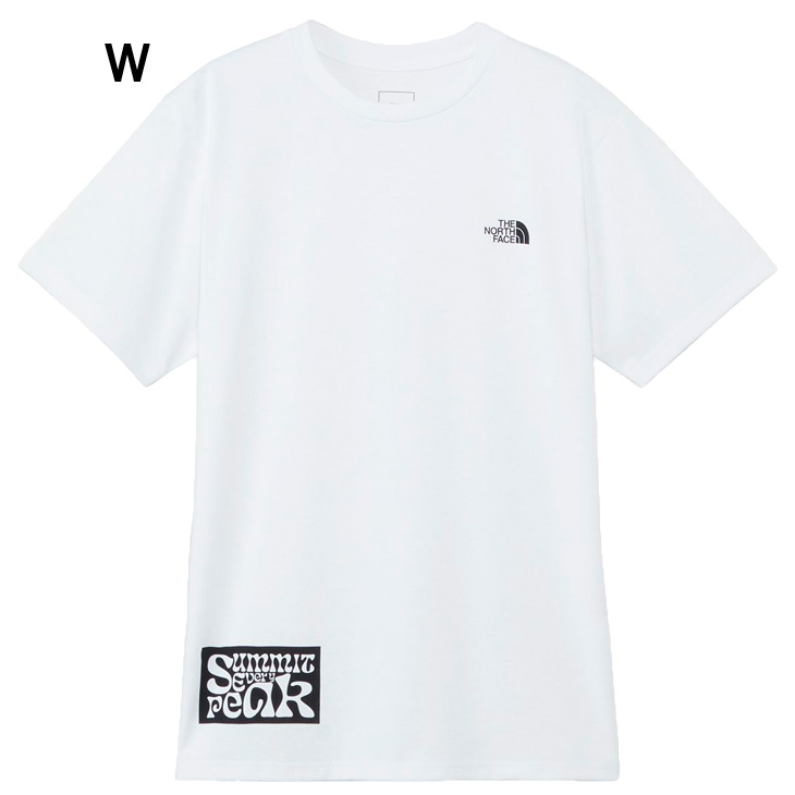 THE NORTH FACE ザ・ノース・フェイス 半袖 Tシャツ メンズ