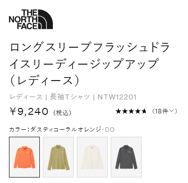 THE NORTH FACE（ザ ノースフェイス） レディース 長袖 ジップシャツ