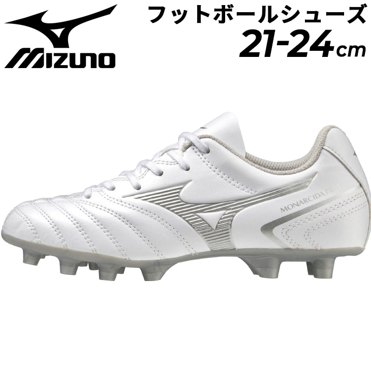 p1gb2325_01.jpg
