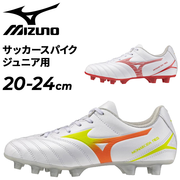 p1gb2625-_001.jpg
