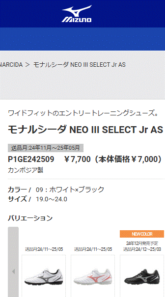 MIZUNO ミズノ　モナルシーダ　トレーニングシューズ ミズノ MIZUNO サッカー トレーニングシューズ モナルシーダ NEO