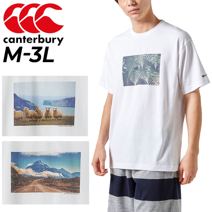 半袖 Tシャツ メンズ カンタベリー canterbury フォトT コットン 男性