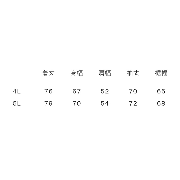 カンタベリー（Canterbury） ジャージ 4L 5L メンズ 上下 大きいサイズ