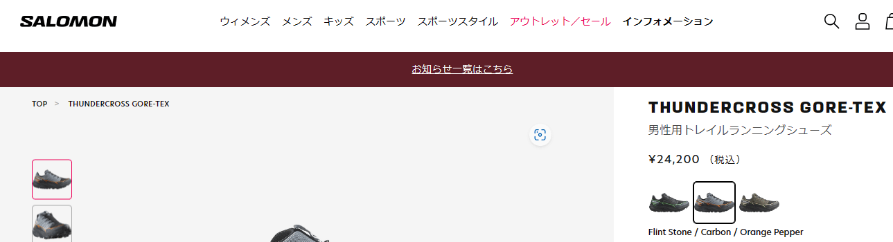 サロモン トレイルランニングシューズ メンズ 防水設計 ゴアテックス