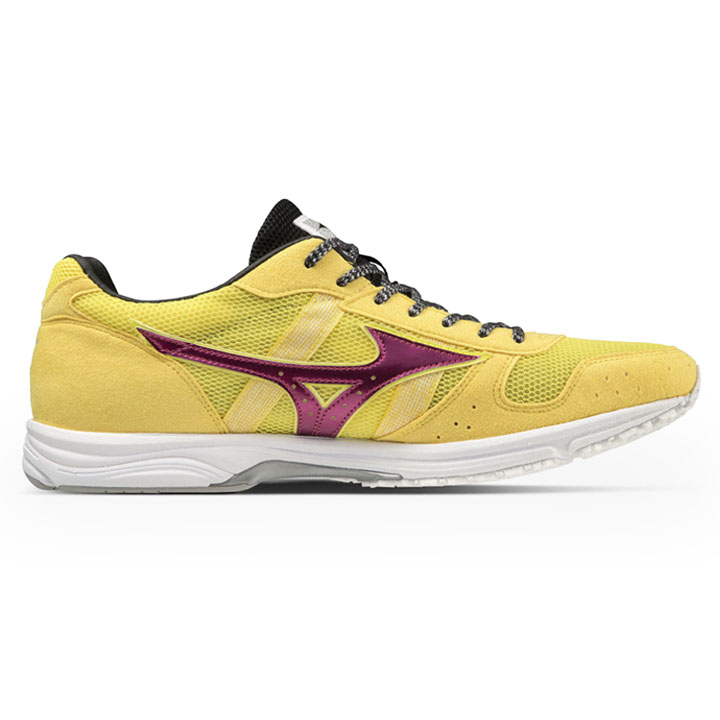 ASICS ミズノ ランニングシューズ メンズ 2E相当 mizuno