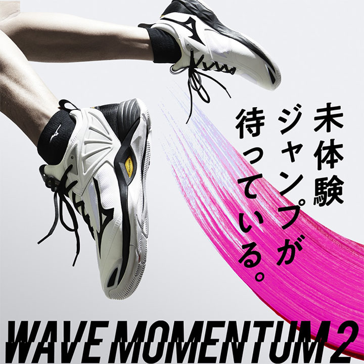 バレーボールシューズ 2.5E相当 メンズ ミズノ mizuno WAVE