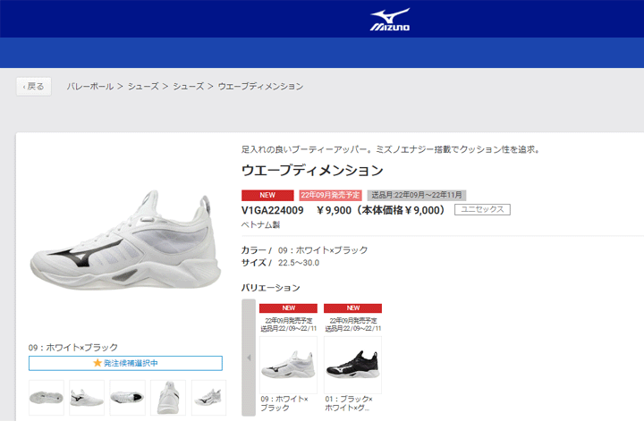 SALE／57%OFF】 mizuno 競技 バレーボールシューズ 靴 V1GA2240 2.5E相当 ウエーブディメンション ミズノ