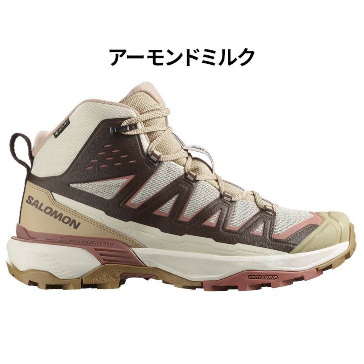 まるもっと　サロモン SALOMON / BRAND / ROOT