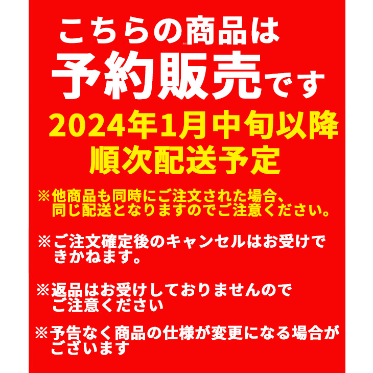 予約商品】【2024年1月中旬発送予定】数量限定 ギルバート 2023