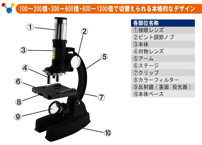 正規品国産 顕微鏡 Stv 700mdcm Web Shop ゆとり Paypayモール店 通販 Paypayモール 小学生 子供 最大10倍 メタル顕微鏡 夏休み 自由研究 通販 Vanderschooten Com