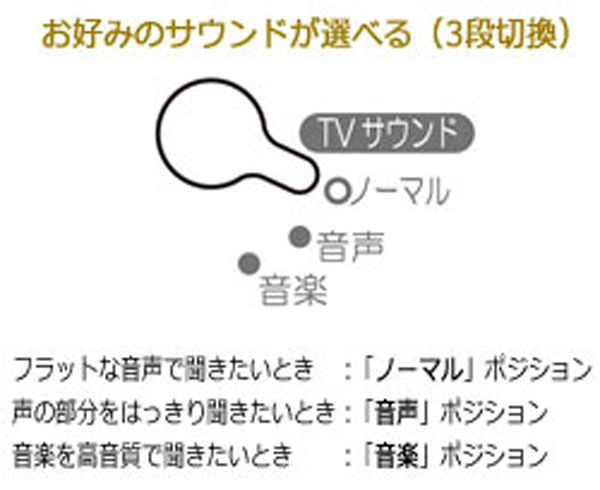 テレビ ワイヤレス スピーカー 手元スピーカーシステム TY-WSD11
