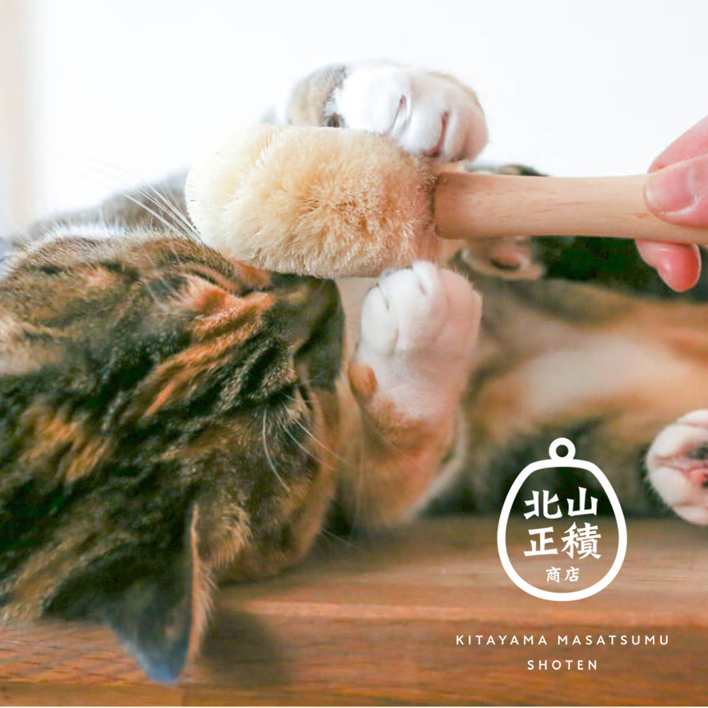 Amazon | ペティオ (Petio) 猫用おもちゃ へちまレザー デンタル