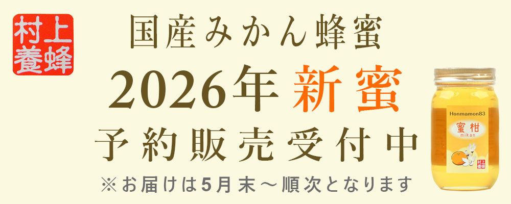 2026年新蜜5月末入荷予定/入荷後順次出荷】蜜柑 みかん はちみつ 国産