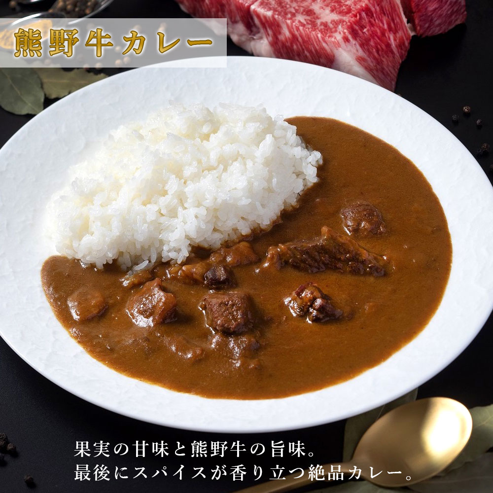手提げバッグ付】 熊野牛カレー＆熊野牛ハヤシソース 高級ギフトBOX