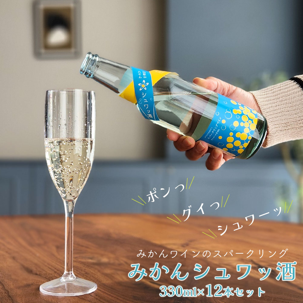 果実酒　ワイン スパークリング １２点　おまとめ 240619_shw12set_01.jpg