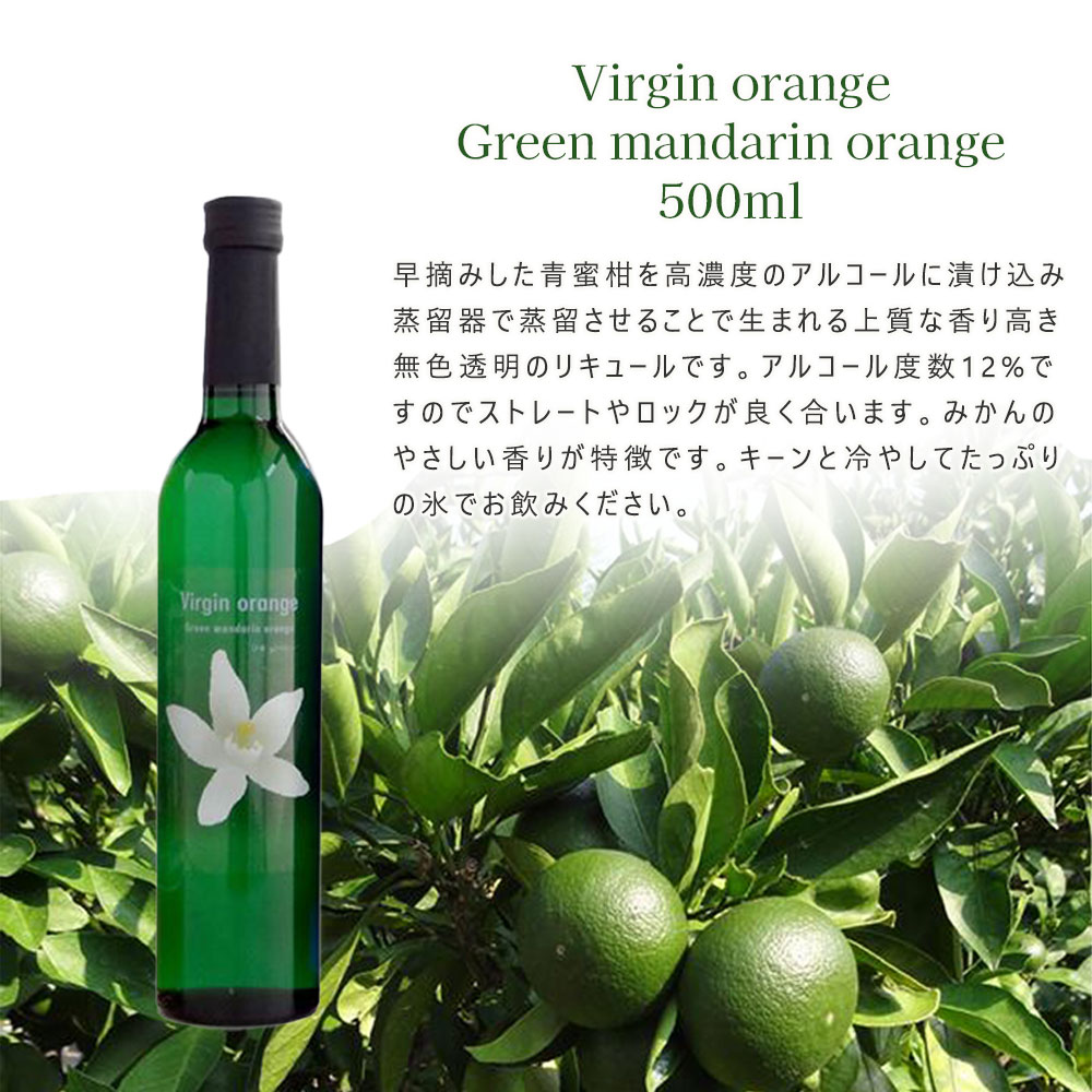 （2日間限定値下げ）ARise Guarneri 46mm 1100g 超軽量 十六茶 ケース アークスオンラインショップ Arcs Online Shop