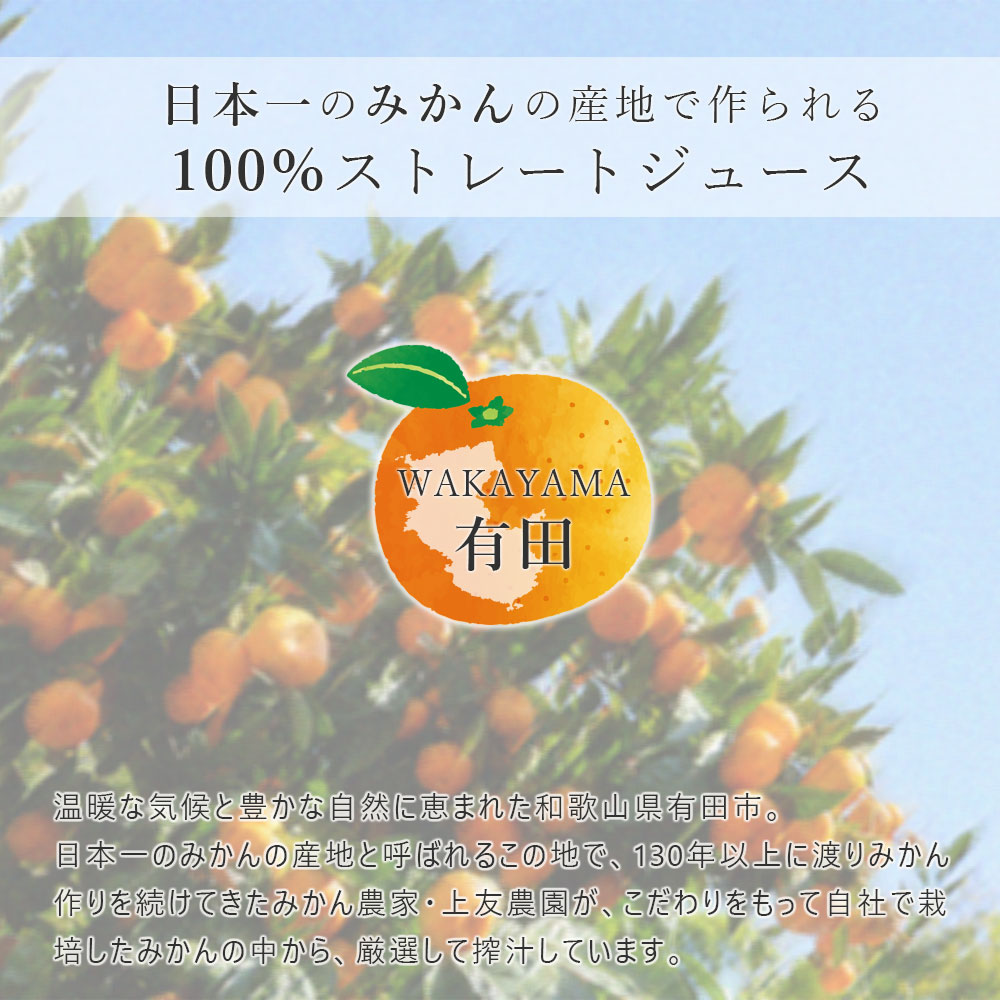 上友農園 Premium Taste uetomo 温州みかんジュース 500ml×2本 化粧箱