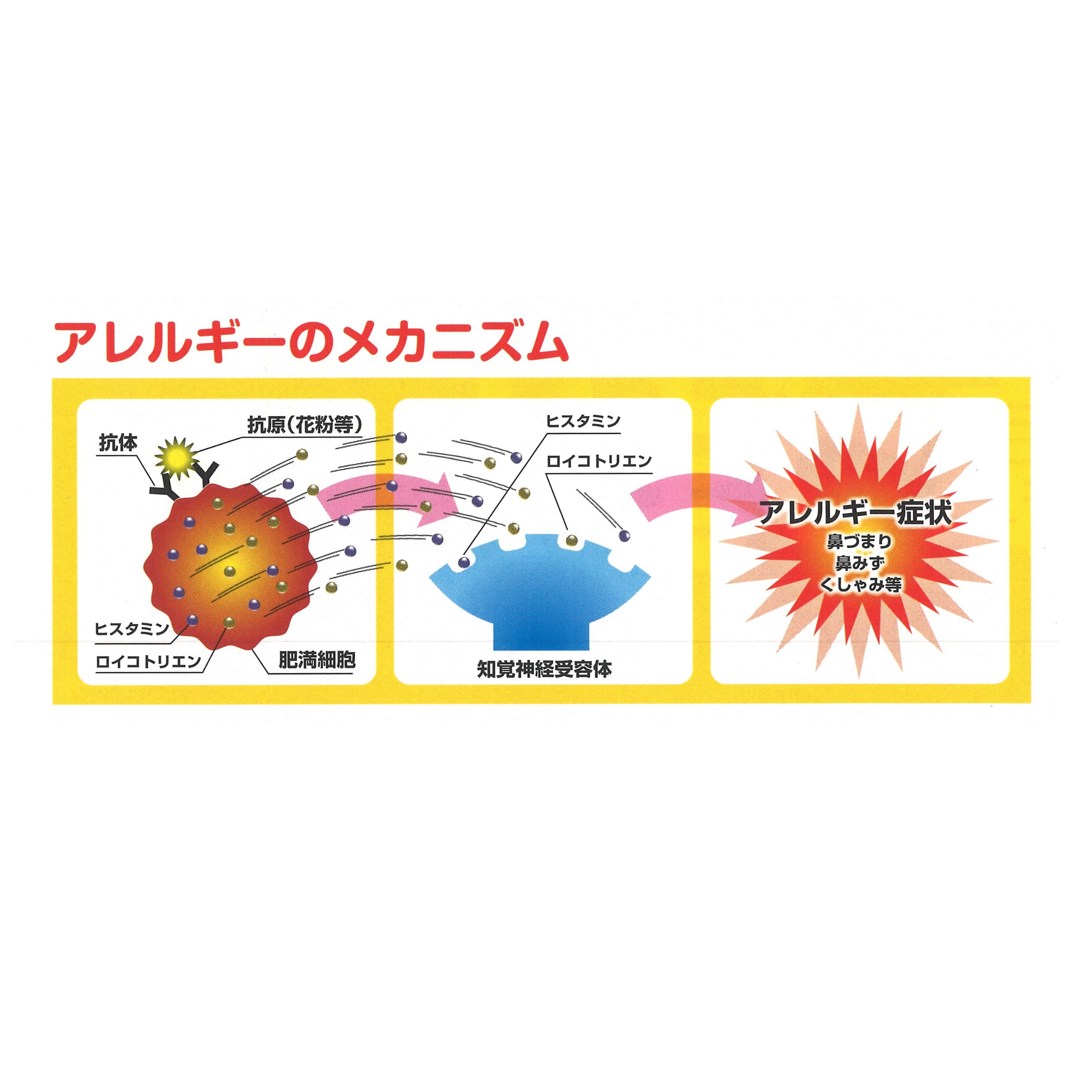 第一薬品工業 アレジンAZ錠 24錠 5箱 約1ヵ月分 第2類医薬品