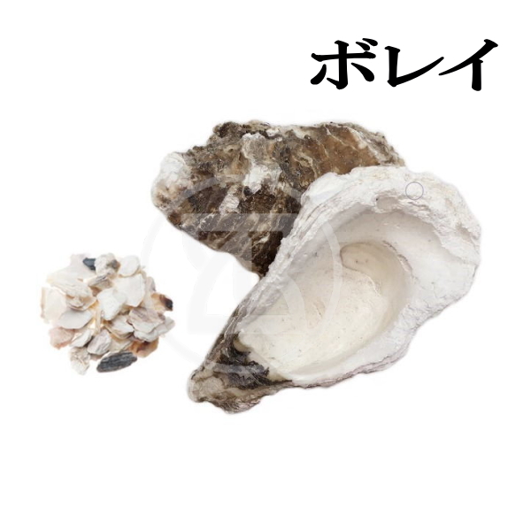 イカロン ノヴァ 18包 5個 第２類医薬品 総合胃腸薬 胃もたれ 食べ過ぎ 胸やけ 胃痛 飲み過ぎ 消化不良 生薬 健胃 制酸剤 消化酵素 利胆薬 富山 中央薬品 | 中央薬品 | 03