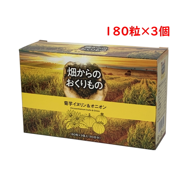 畑からのおくりもの 180粒 3個 90日分 健康食品 菊芋 キクイモ イヌリン オニオン ケルセチン 中部薬品