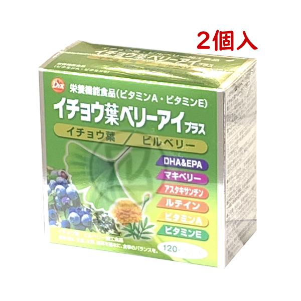 イチョウ葉エキス サプリ 効果 目に良いサプリメント 120粒 2個 