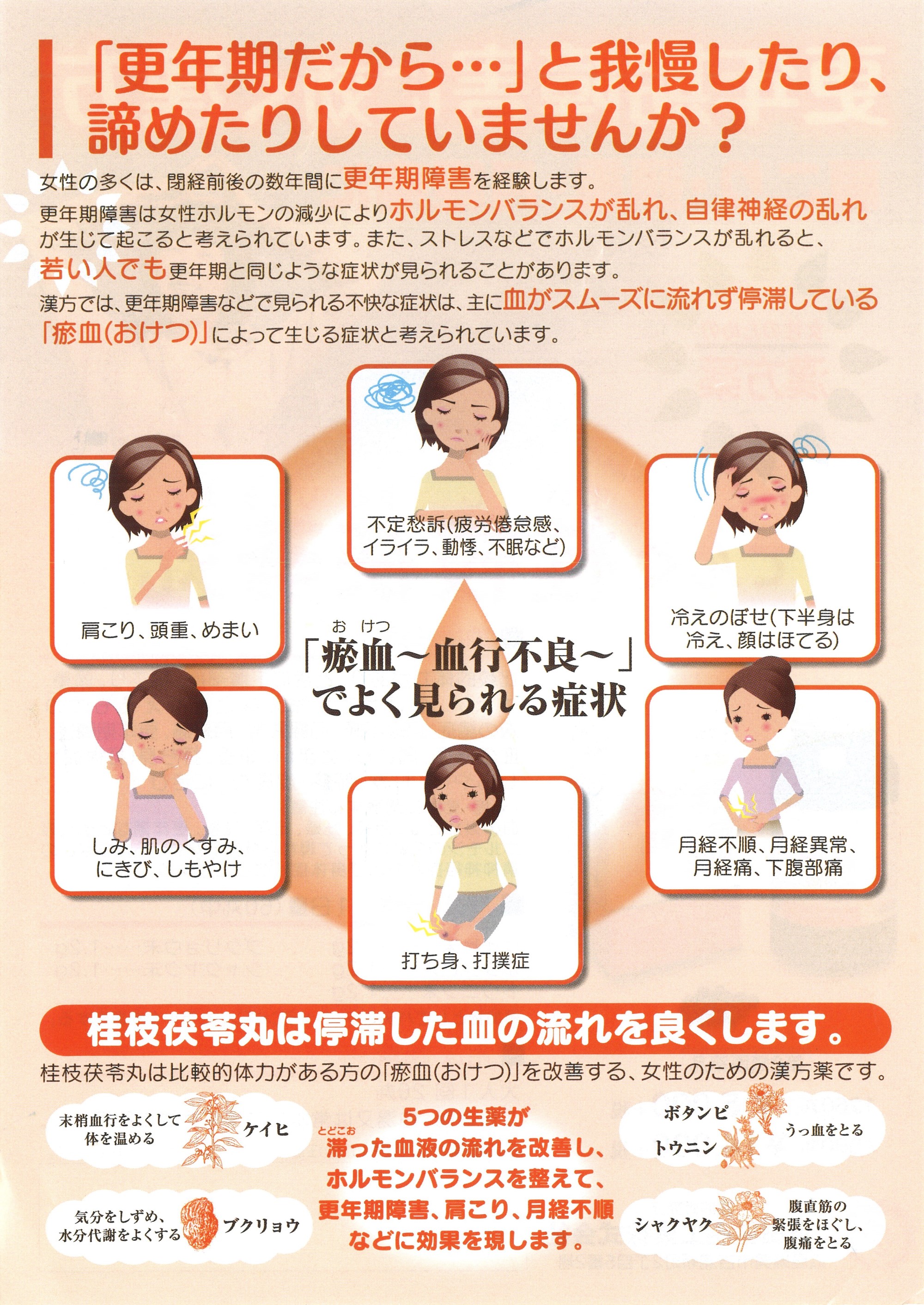 桂 枝 茯苓 丸 効果