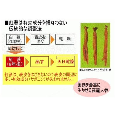 蔘凰紅蔘錠 210錠 第３類医薬品 虚弱体質 肉体疲労 病中病後 胃腸虚弱 食欲不振 血色不良 冷え性 発育期 とやま 配置薬 置き薬 富山 明治製薬 | ブランド登録なし | 02