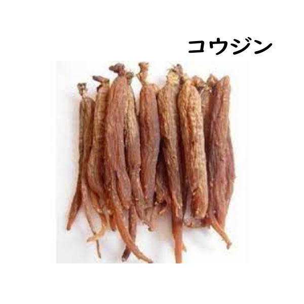 イカロン ノヴァ 18包 5個 第２類医薬品 総合胃腸薬 胃もたれ 食べ過ぎ 胸やけ 胃痛 飲み過ぎ 消化不良 生薬 健胃 制酸剤 消化酵素 利胆薬 富山 中央薬品 | 中央薬品 | 06
