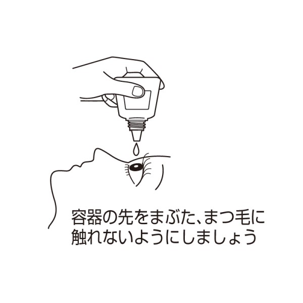 アイルビーナV 15mL 6個 第３類医薬品 目の疲れ 目のかすみ 結膜充血 目のかゆみ 眼瞼炎 まぶたのただれ 眼病予防 第一薬品工業 セルフメディケーション税制対象｜wa-mu｜03