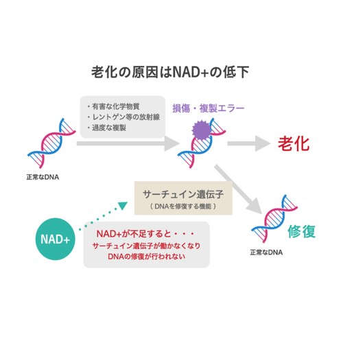 中央薬品 NMN 雪月花 30錠 健康食品 アスタキサンチン 亜鉛 ビタミンC 