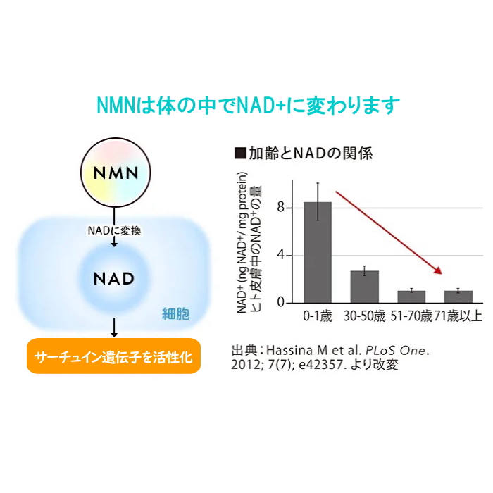 中央薬品 NMN 雪月花 30錠 健康食品 アスタキサンチン 亜鉛 ビタミンC 