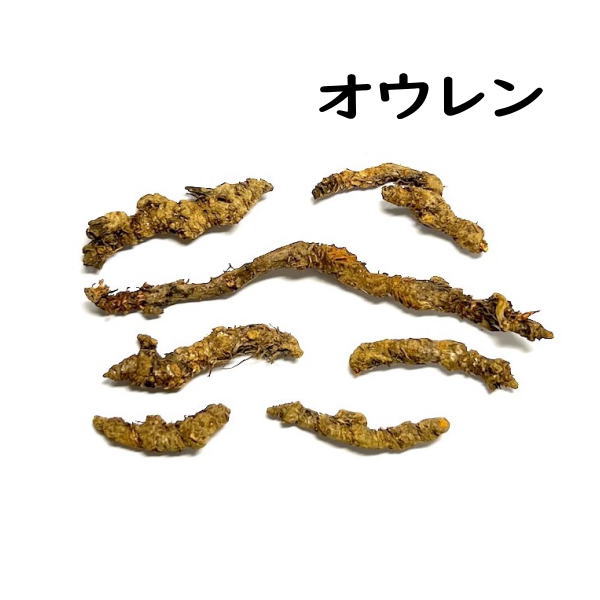 熊膽圓 2包 5袋 第３類医薬品 整腸剤 便秘薬 軟便 配置薬 富山の薬