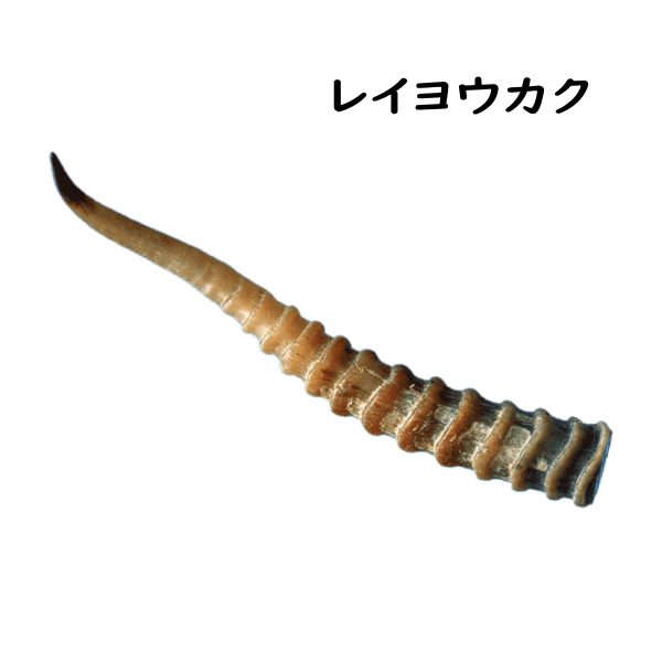 レイヨウカク
