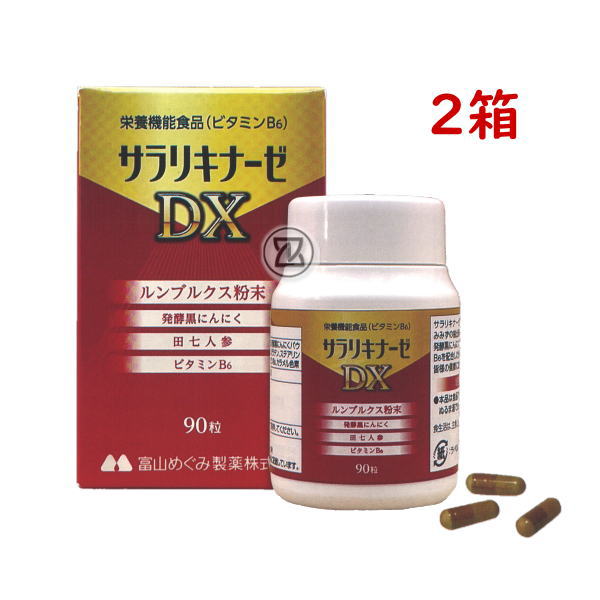 サラリキナーゼDX 90粒 2箱 栄養機能食品 ミミズ乾燥粉末 ルンブルクス ビタミンB6 田七人参 黒ニンニク 美原エルアール研究所 富山めぐみ