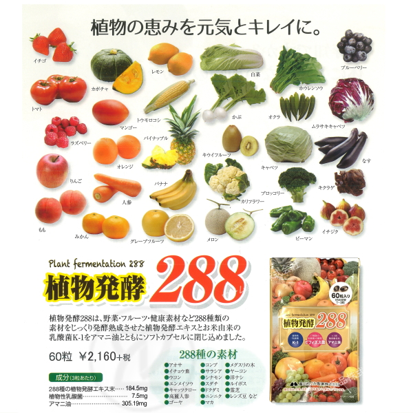 富山めぐみ製薬 植物発酵288 60粒 3袋 健康食品 植物性乳酸菌K-1