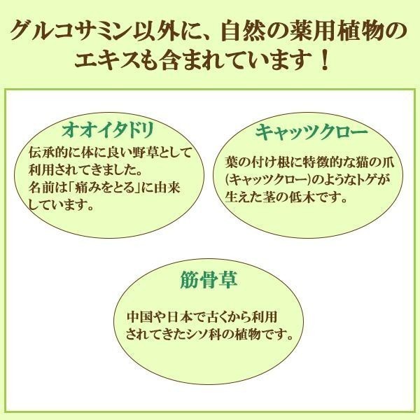 廣貫堂 植物由来の発酵グルコサミンS 150粒 3袋 健康補助食品