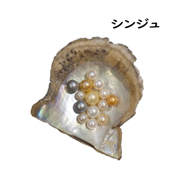 シンジュ