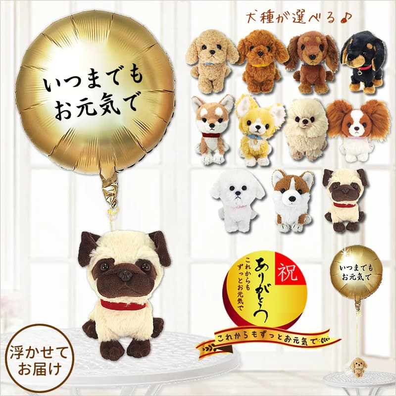 バルーン 風船 敬老 還暦 古希 喜寿 傘寿 米寿 卒寿 プレゼント 犬 LG