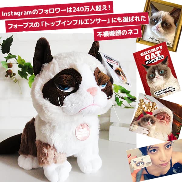 結婚祝い　バルーンギフト　ネコ　　誕生日プレゼント　推し　誕生祭 ぶさかわネコ タルダルソース 結婚式 誕生日 記念日 合格祝い