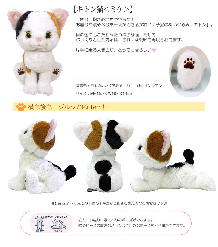 キトン（子猫）ミケ 詳細画像