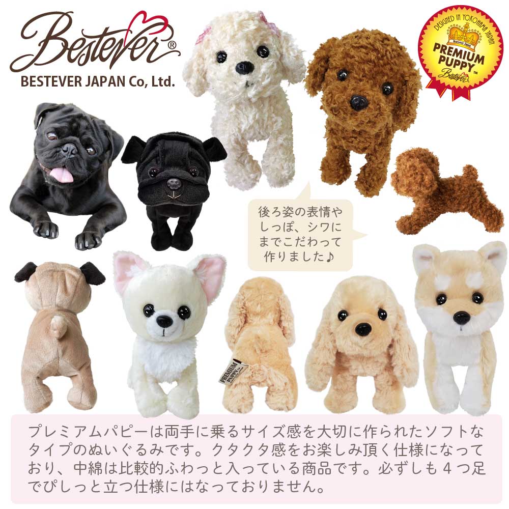 プレミアムパピー全員集合　詳細画像