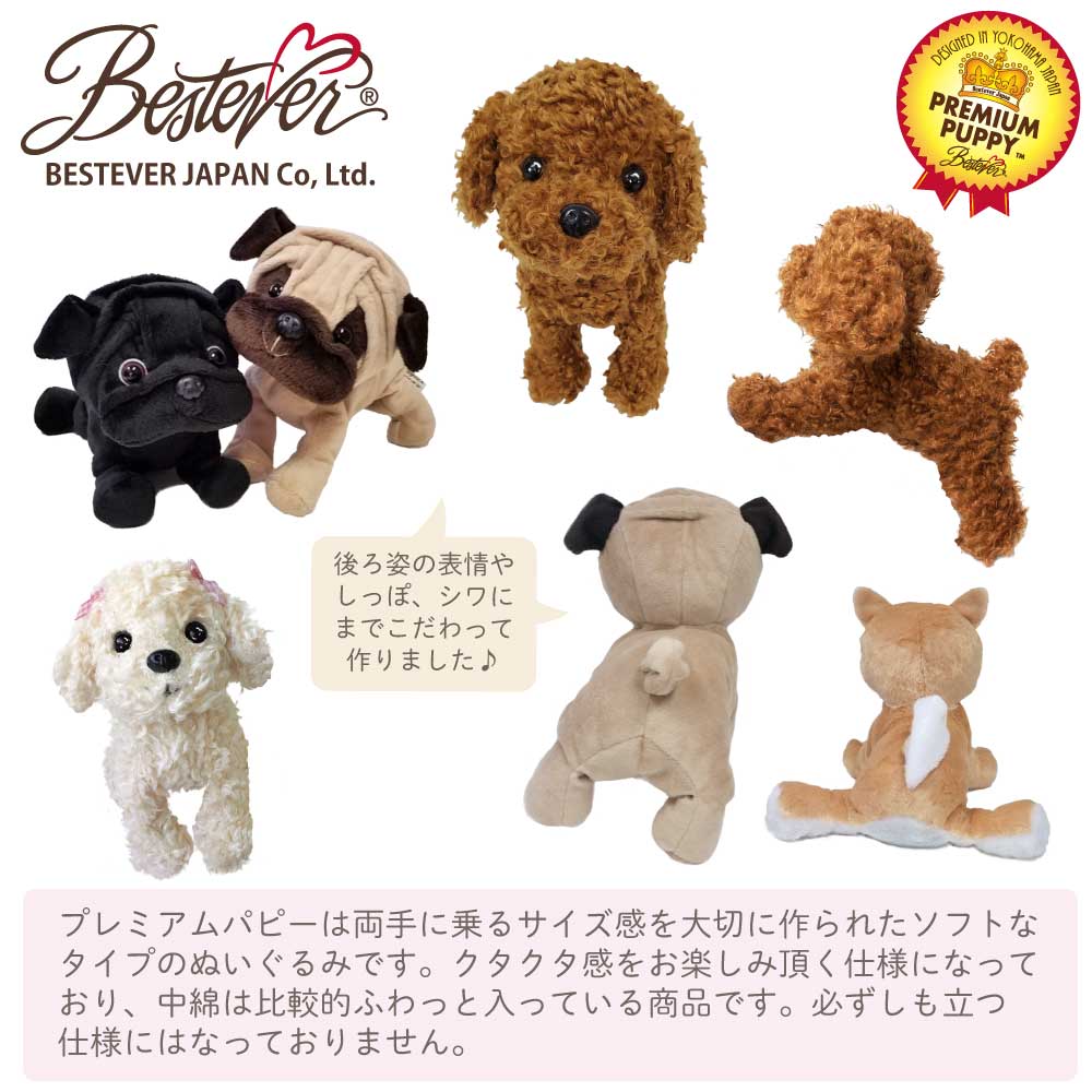 プレミアムパピー全員集合　詳細画像