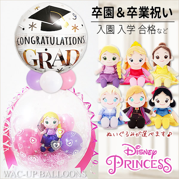 ディズニープリンセス 合格祝い 卒業祝い 贈り物 プレゼント ディズニープリンセス 合格祝い 卒業祝い 贈り物 プレゼント