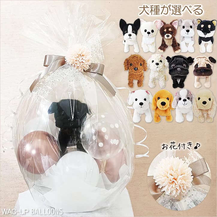 ぬいぐるみバルーンラッピング 選べるプレミアムパピー犬＜花レースピンクくすみ＞　メイン画像