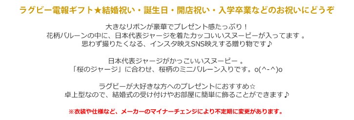 ぬいぐるみバルーンラッピング:スヌーピー【ラグビー】日本代表の詳細画像2